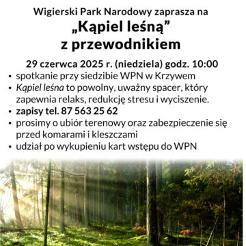 Wigierski Park Narodowy zaprasza na „Kąpiel leśną” z przewodnikiem