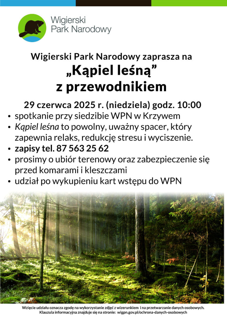 Wigierski Park Narodowy zaprasza na „Kąpiel leśną” z przewodnikiem