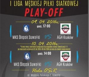 I Liga Męskiej Piłki Siatkowej PLAY-OFF