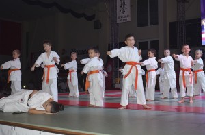 Medalodajne Karate