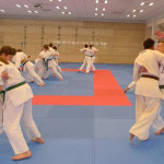 karate suwalki japonia