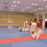 karate suwalki japonia