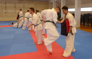 karate suwalki japonia