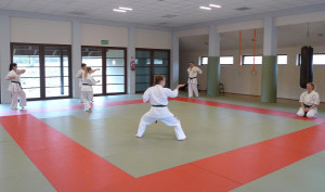 karate suwalki japonia