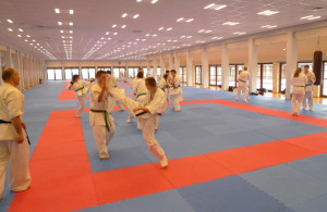 karate suwalki japonia