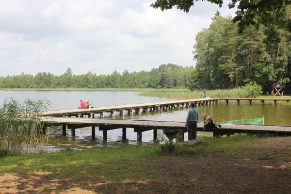 Suwałki plaża w Krzywem