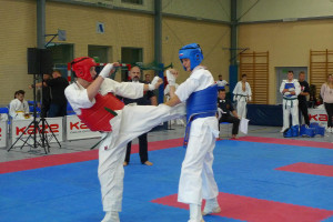 karate turniej kwalifikacyjny2017