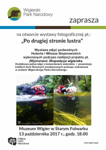 (Wy)nurzeni. Ekspedycja wigierska