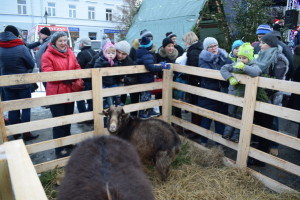 Suwałki Wigilia Miejska 2017