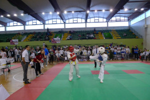 Suwałki Mistrzostwa Karate w Zamościu