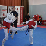 Mistrzostwa karate Suwałki