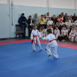 Mistrzostwa karate Suwałki