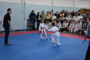 Mistrzostwa karate Suwałki