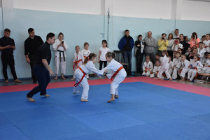 Mistrzostwa karate Suwałki