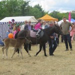 Suwałki Piknik Kawaleryjski 2018