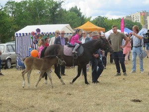 Suwałki Piknik Kawaleryjski 2018