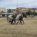 Suwałki Piknik Kawaleryjski 2018