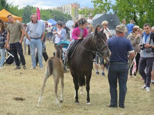 Suwałki Piknik Kawaleryjski 2018