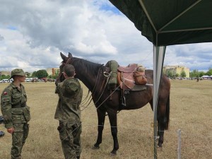 Suwałki Piknik Kawaleryjski 2018