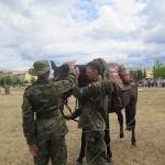 Suwałki Piknik Kawaleryjski 2018