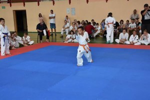 Suwałki karate zawody Grajewo