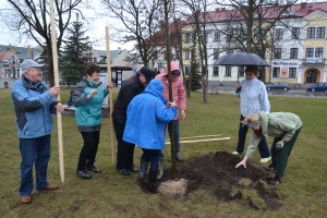 Posadź drzewa w Parku Konstytucji 3 Maja