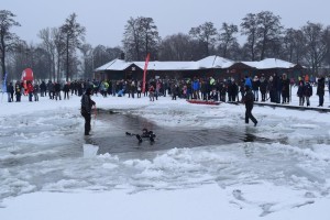 WOŚP Suwałki 2019