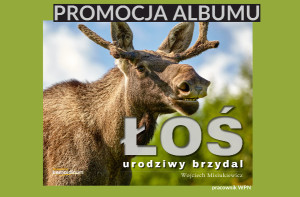 Promocja albumu