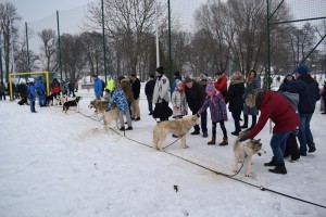 Stacja Pogodne Suwałki 2019