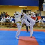 Suwałki karate w Radzyminie