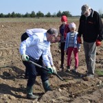 Suwałki Os. Franciszkańska sadzenie drzew