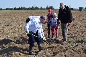 Suwałki Os. Franciszkańska sadzenie drzew