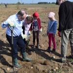 Suwałki Os. Franciszkańska sadzenie drzew
