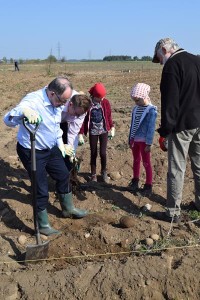 Suwałki Os. Franciszkańska sadzenie drzew