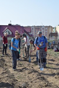 Suwałki Os. Franciszkańska sadzenie drzew