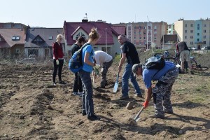 Więcej zieleni na Osiedlu Północ