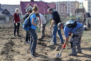 Suwałki Os. Franciszkańska sadzenie drzew