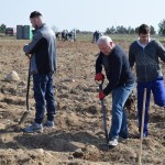 Suwałki Os. Franciszkańska sadzenie drzew