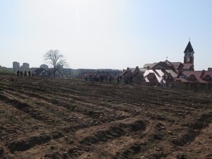 Suwałki Os. Franciszkańska sadzenie drzew