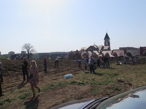 Suwałki Os. Franciszkańska sadzenie drzew