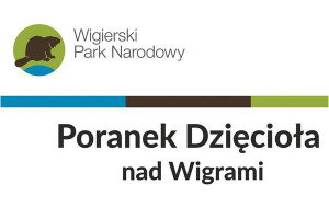 Poranek dzięcioła nad Wigrami