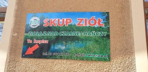 Spółdzielnia otworzyła skup ziół i sklep