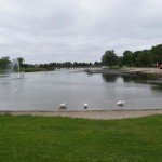 Suwałki PCK mistrzostwa pierwszej pomocy