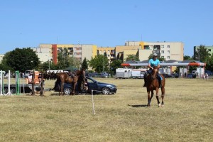 Suwałki Piknik Kawaleryjski 2019