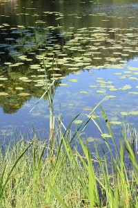 Suwalski Park Krajobrazowy
