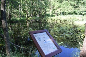 Suwalski Park Krajobrazowy