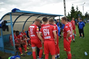 Remis Wigier