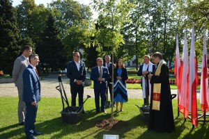 Suwałki 100-lecie wyzwolenia sadzenie dębów wolności