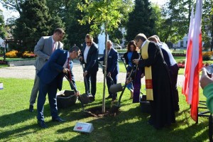 Suwałki 100-lecie wyzwolenia sadzenie dębów wolności