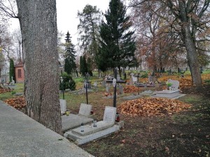Suwałki Pryzmat Wolontariat dla Niepodległej